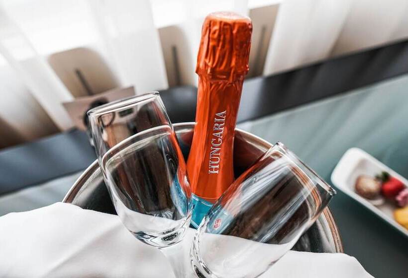 エクゼクティブルーム, Verdi Budapest Aquincum