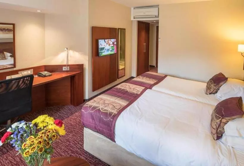 身障者適用スタンダードルーム, City Lodge Hotel Gqeberha