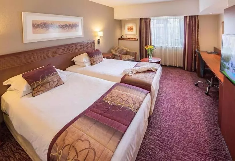 身障者適用スタンダードルーム, City Lodge Hotel Gqeberha
