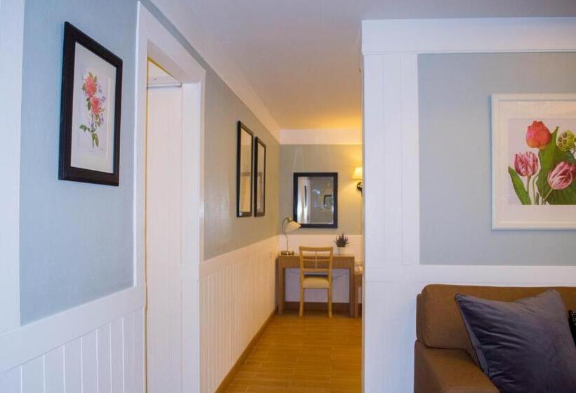 Королевский Люкс, Paradise