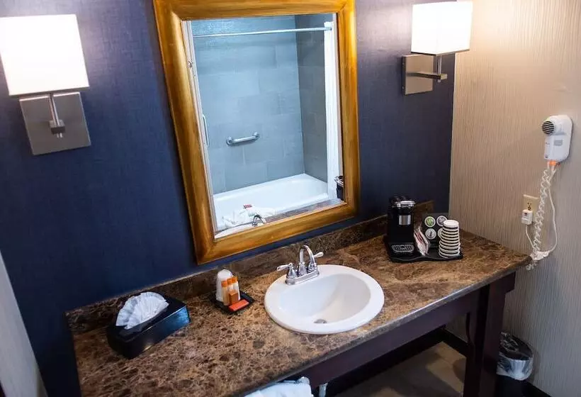 デラックスルーム, Carson Valley Inn