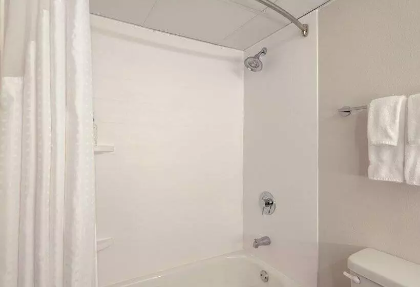 اتاق استاندارد, Holiday Inn Express & Suites Greensboro   I 40 Atwendover, An Ihg