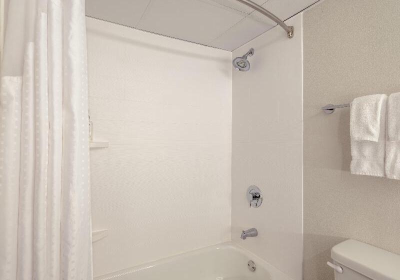 Номер Стандарт, Holiday Inn Express & Suites Greensboro I 40 Atwendover, An Ihg