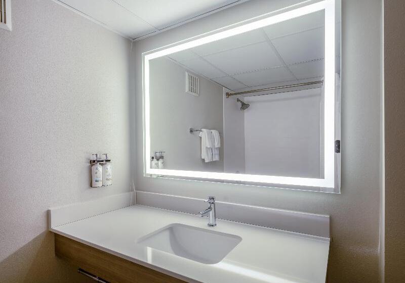 스탠다드 룸, Holiday Inn Express & Suites Greensboro I 40 Atwendover, An Ihg