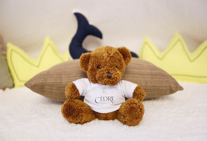 سوییت جونیور, Hostellerie Cèdre & Spa Beaune