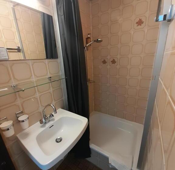 غرفة إقتصادية فردية, Hôtel & Restaurant Le Patio Vichy