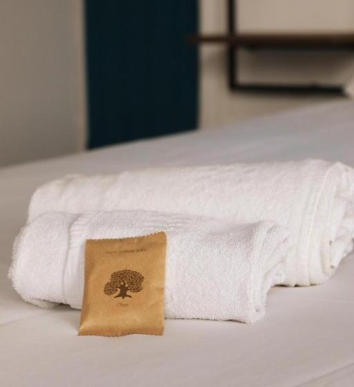 غرفة قياسية مزوَّدة بتراس, Hôtel & Restaurant Le Patio Vichy