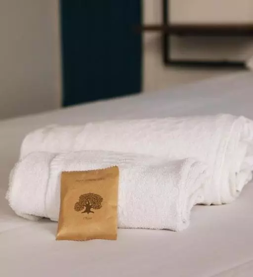 اتاق استاندارد با تراس, Hôtel & Restaurant Le Patio Vichy