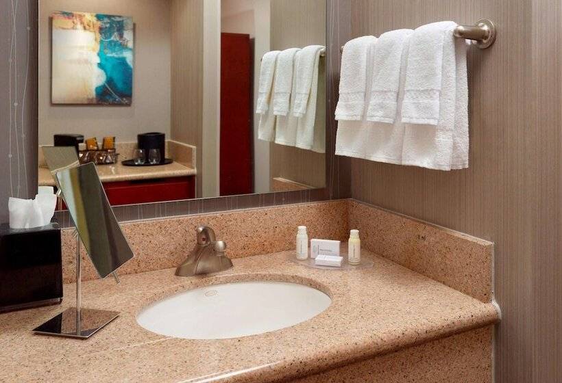 חדר סטנדרט מיטה זוגית, Sonesta Select Atlanta Midtown Georgia Tech