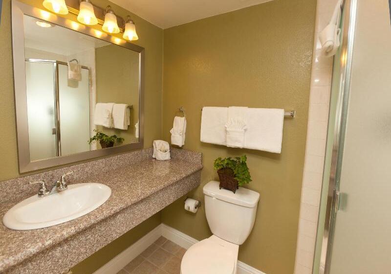 Номер Стандарт, Legacy Vacation Resorts Reno