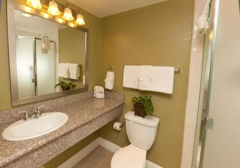 اتاق استاندارد, Legacy Vacation Resorts Reno