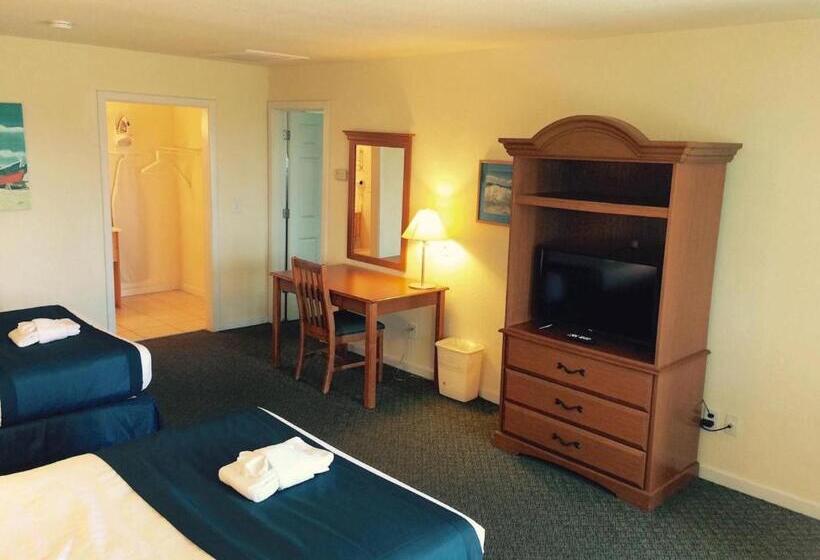 スタンダードルーム, Sea Gull