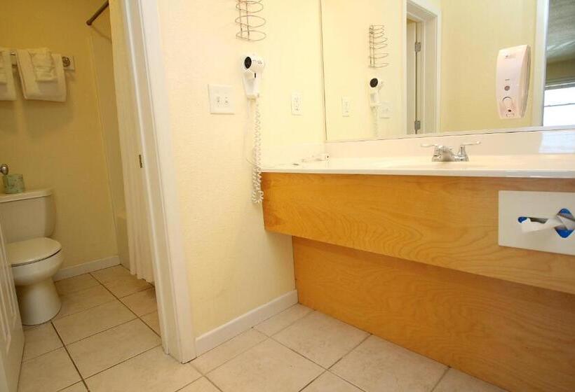 スタンダードルーム, Sea Gull