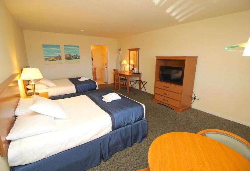 スタンダードルーム, Sea Gull