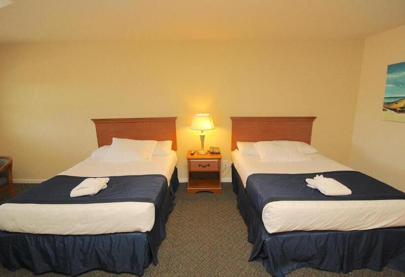 スタンダードルーム, Sea Gull