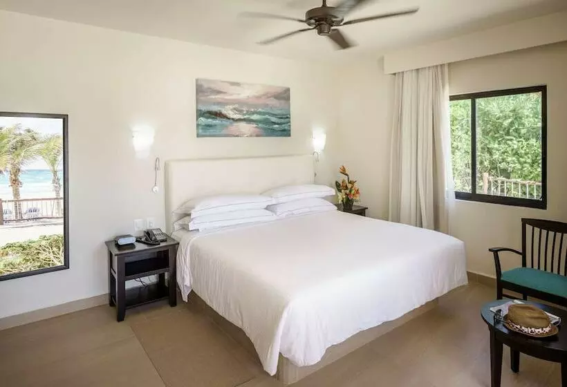 スーペリアールーム, Allegro Playacar - All Inclusive