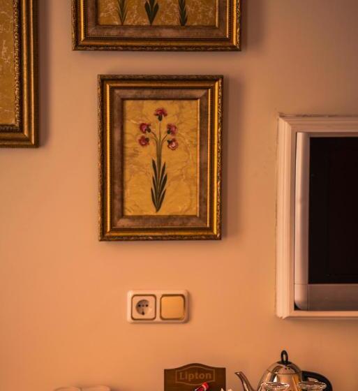 スーペリアールーム, Avicenna Hotel Sultanahmet