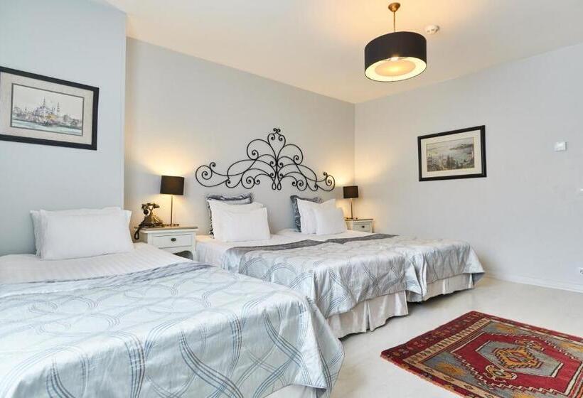 اتاق استاندارد تودرتو, Celal Sultan Hotel Special Class