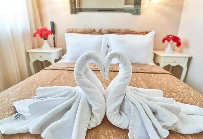 اتاق لوکس یک تخته, Celal Sultan Hotel Special Class