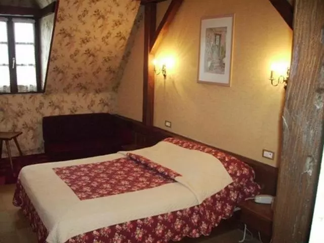 Standard Kolmen Hengen Huone, Des Vosges