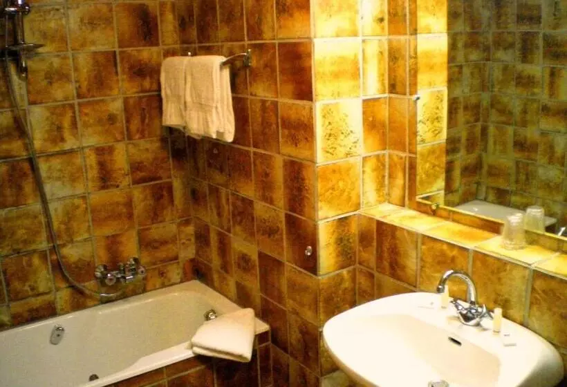 Standard Yhden Hengen Huone, Des Vosges