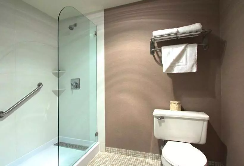 اتاق استاندارد با چشم‌انداز شهر, Executive Inn & Suites Oakland