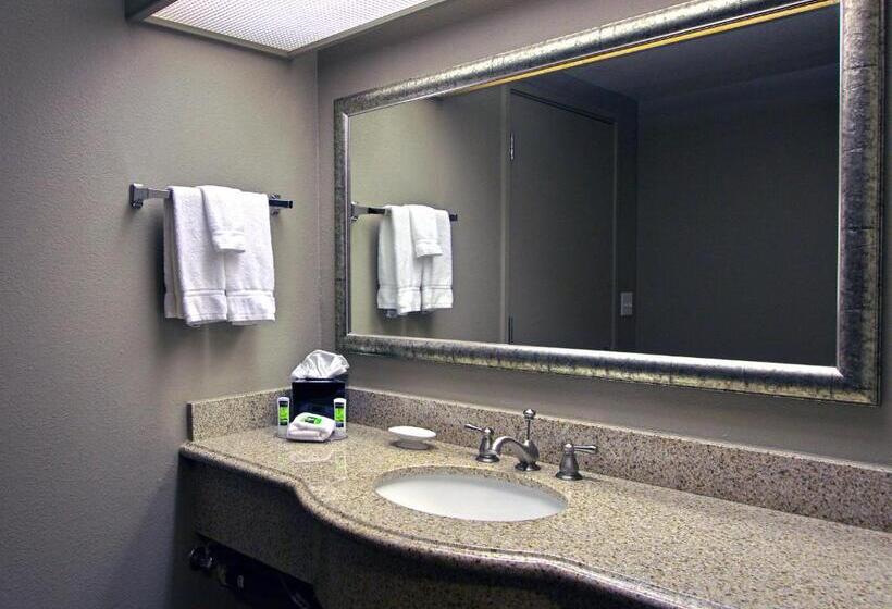 Quarto Standard Vista Cidade, Executive Inn & Suites Oakland