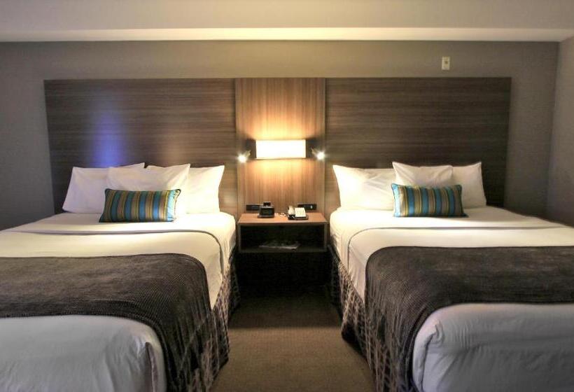 غرفة قياسية مطلة على المدينة, Executive Inn & Suites Oakland