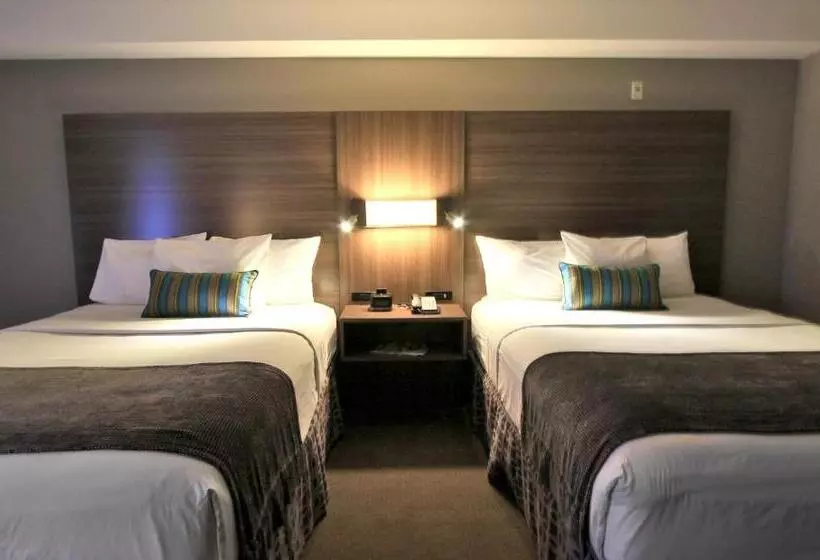 اتاق استاندارد با چشم‌انداز شهر, Executive Inn & Suites Oakland