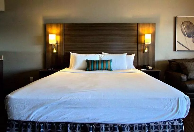 اتاق استاندارد با تخت بزرگ, Executive Inn & Suites Oakland