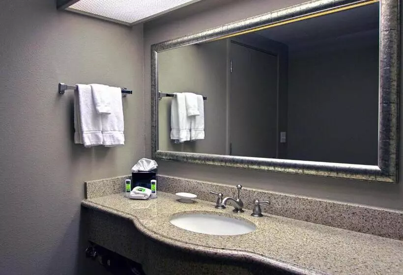 اتاق استاندارد با تخت بزرگ, Executive Inn & Suites Oakland