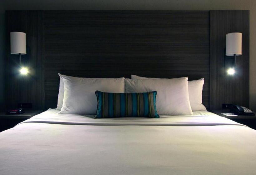 غرفة قياسية سرير كينج, Executive Inn & Suites Oakland