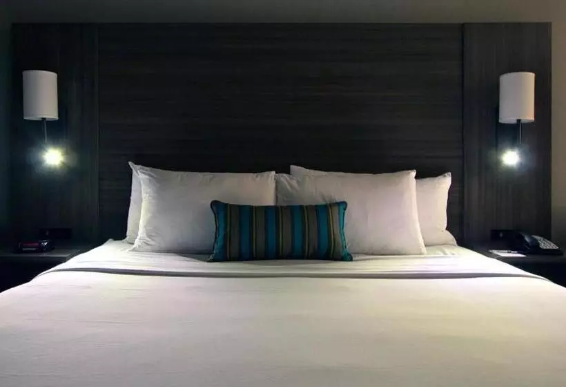 اتاق استاندارد با تخت بزرگ, Executive Inn & Suites Oakland