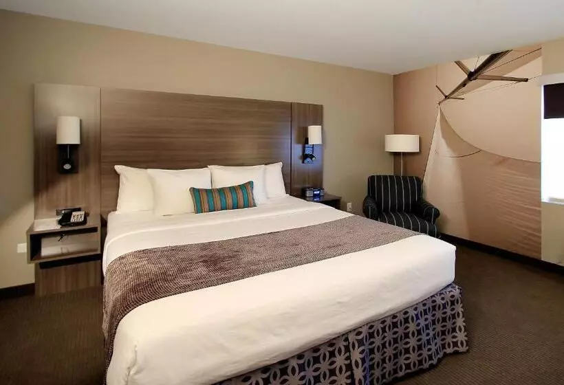 اتاق استاندارد با تخت بزرگ, Executive Inn & Suites Oakland