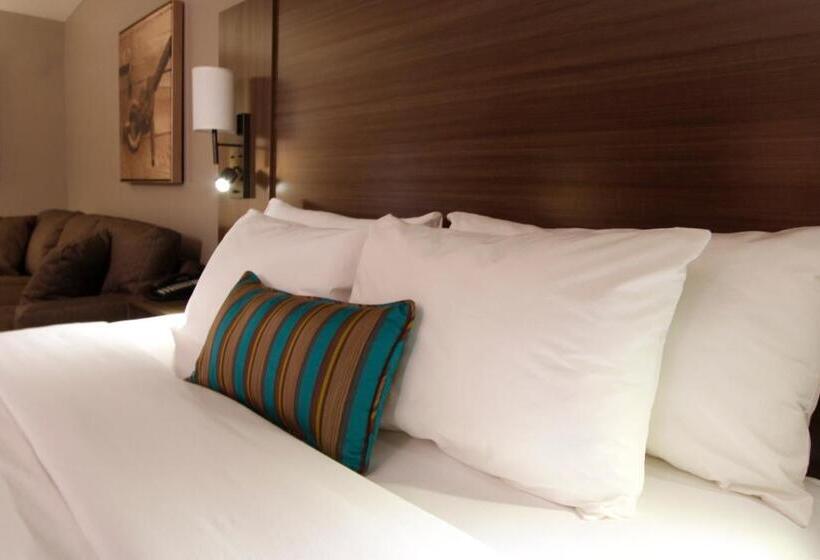 Suite Cama King, Executive Inn & Suites Oakland
