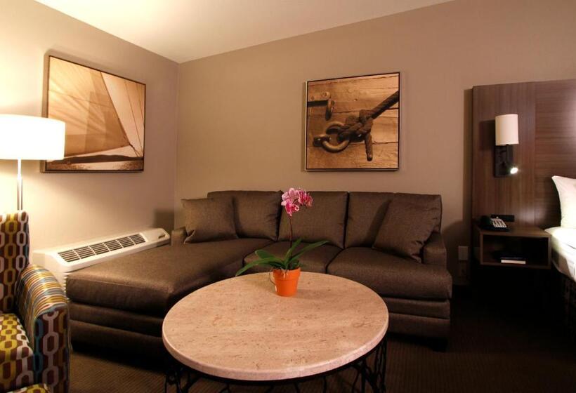 جناح سرير كينج, Executive Inn & Suites Oakland