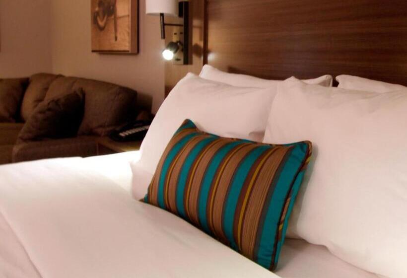 جناح سرير كينج, Executive Inn & Suites Oakland