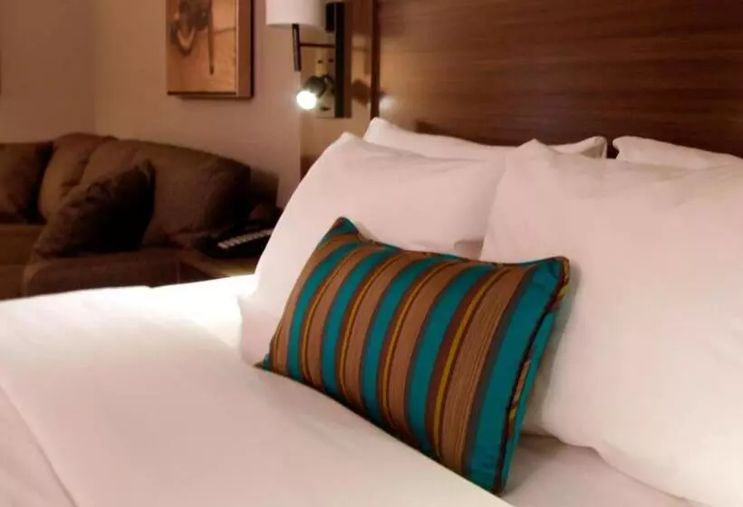 سوئیت با تخت بزرگ, Executive Inn & Suites Oakland
