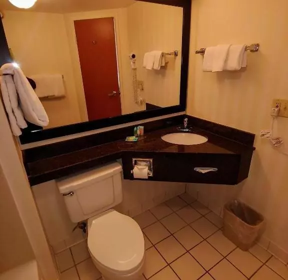 اتاق استاندارد با تخت بزرگ, Revival Scottsdale Studios