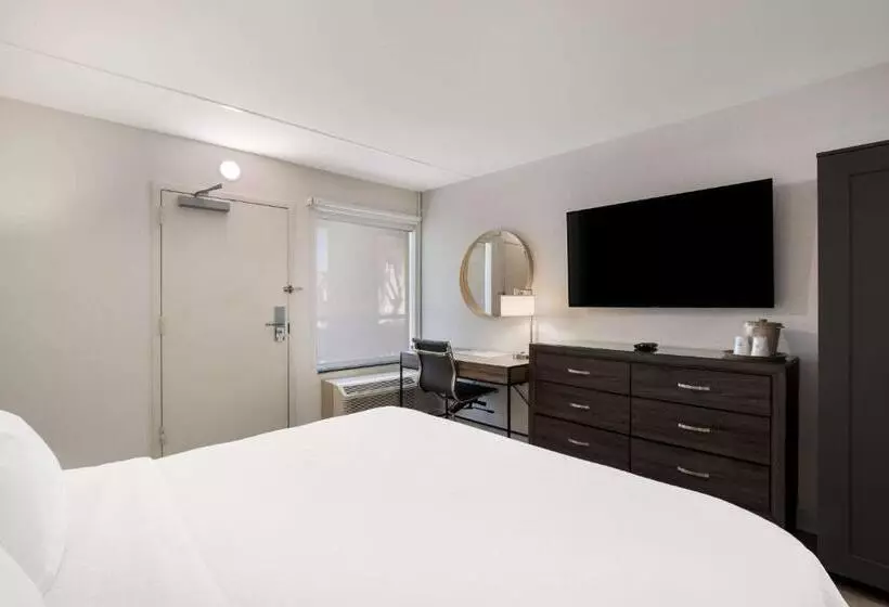اتاق استاندارد با تخت بزرگ, Revival Scottsdale Studios