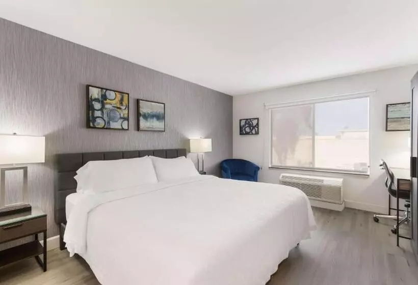 اتاق استاندارد با تخت بزرگ, Revival Scottsdale Studios