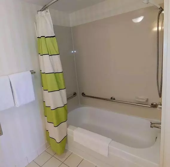 اتاق استاندارد با تخت بزرگ برای معلولان, Revival Scottsdale Studios