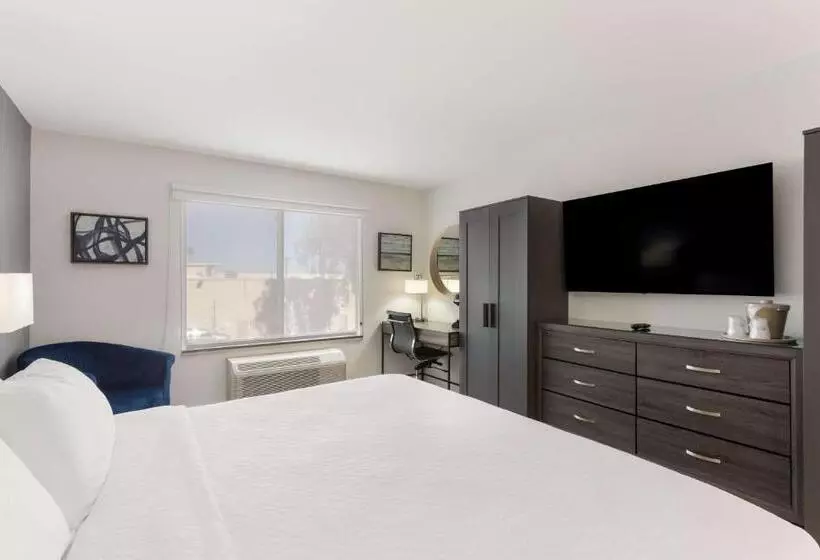 اتاق استاندارد با تخت بزرگ برای معلولان, Revival Scottsdale Studios