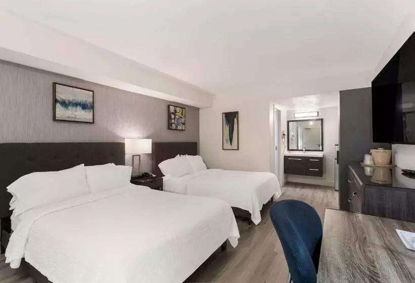 اتاق استاندارد با 2 تخت دوبل, Revival Scottsdale Studios