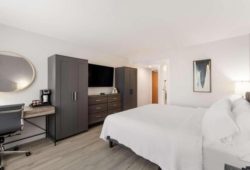 חדר סטנדרט, Revival Scottsdale Studios