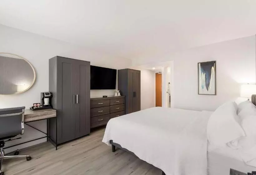اتاق استاندارد, Revival Scottsdale Studios