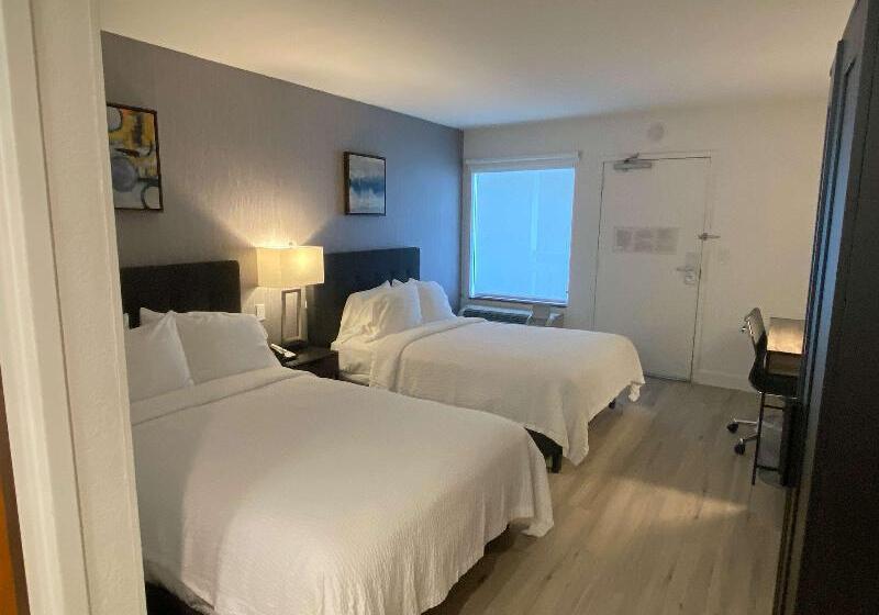 חדר סטנדרט, Revival Scottsdale Studios