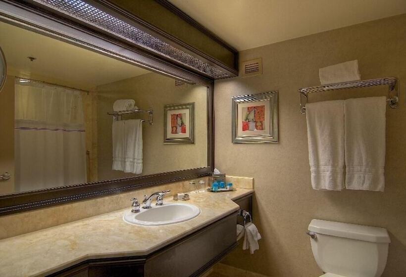 اتاق لوکس, Treasure Island   Ti Las Vegas Hotel & Casino