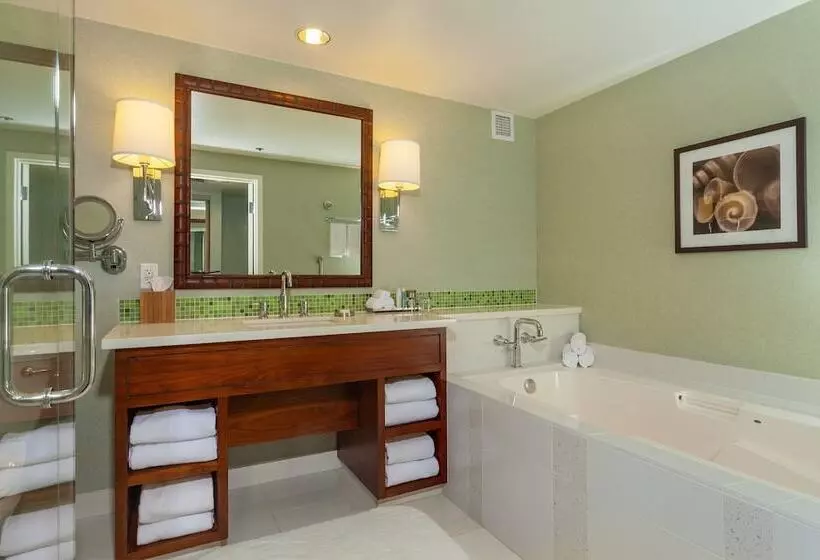 اتاق استاندارد با تخت دوبل برای معلولان, Loews Coronado Bay Resort