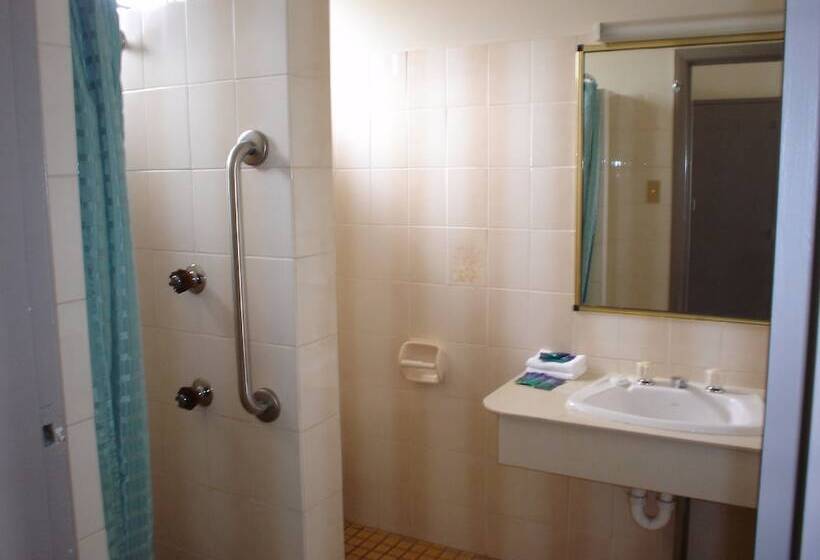 غرفة قياسية, Argosy Motor Inn